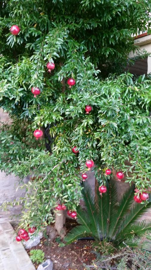 La Maison Jujube Morrovalle Kültér fotó