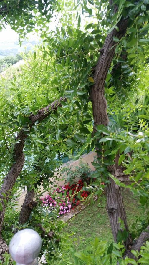 La Maison Jujube Morrovalle Kültér fotó